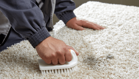 Professional Rug Cleaning Kallista