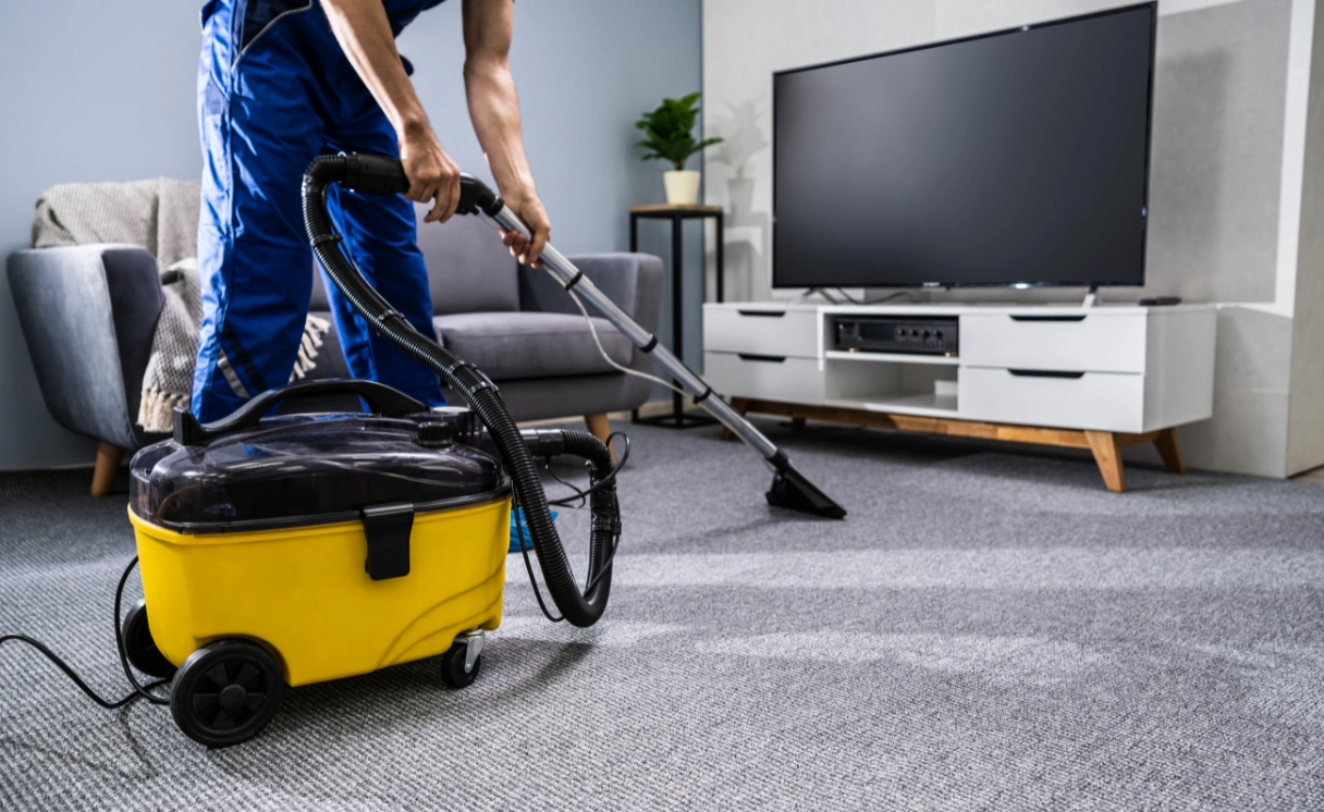 Extract Rug Cleaning Kallista Contact Office